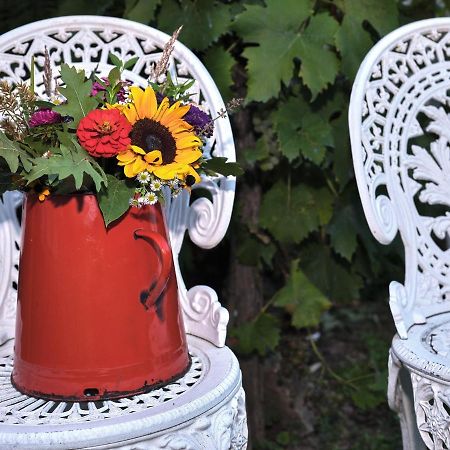 Hardy Apartman Kestel Dış mekan fotoğraf
